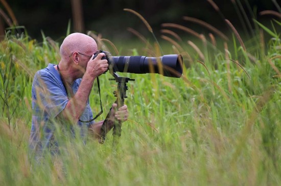 Chasing finches in the long grass