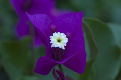 color_temp_3000