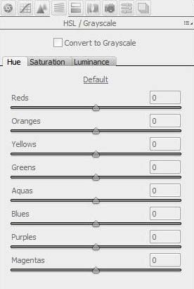 Capture-HSL-grayscale