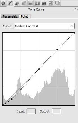 Capture-tone-curve-2