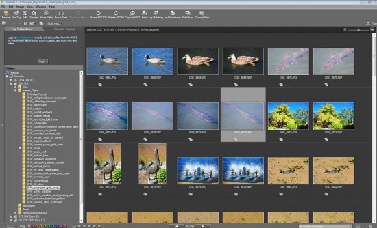 Nikon View NX2 Screen