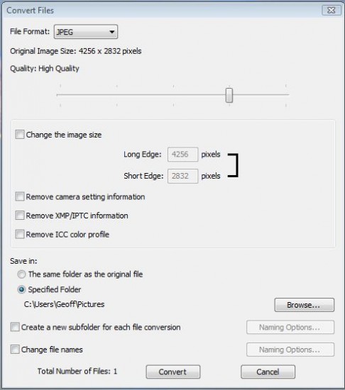 Nikon View NX2-convert-files