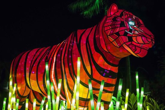 Tiger Animal Sculpture at Zoo at Vivid Sydney