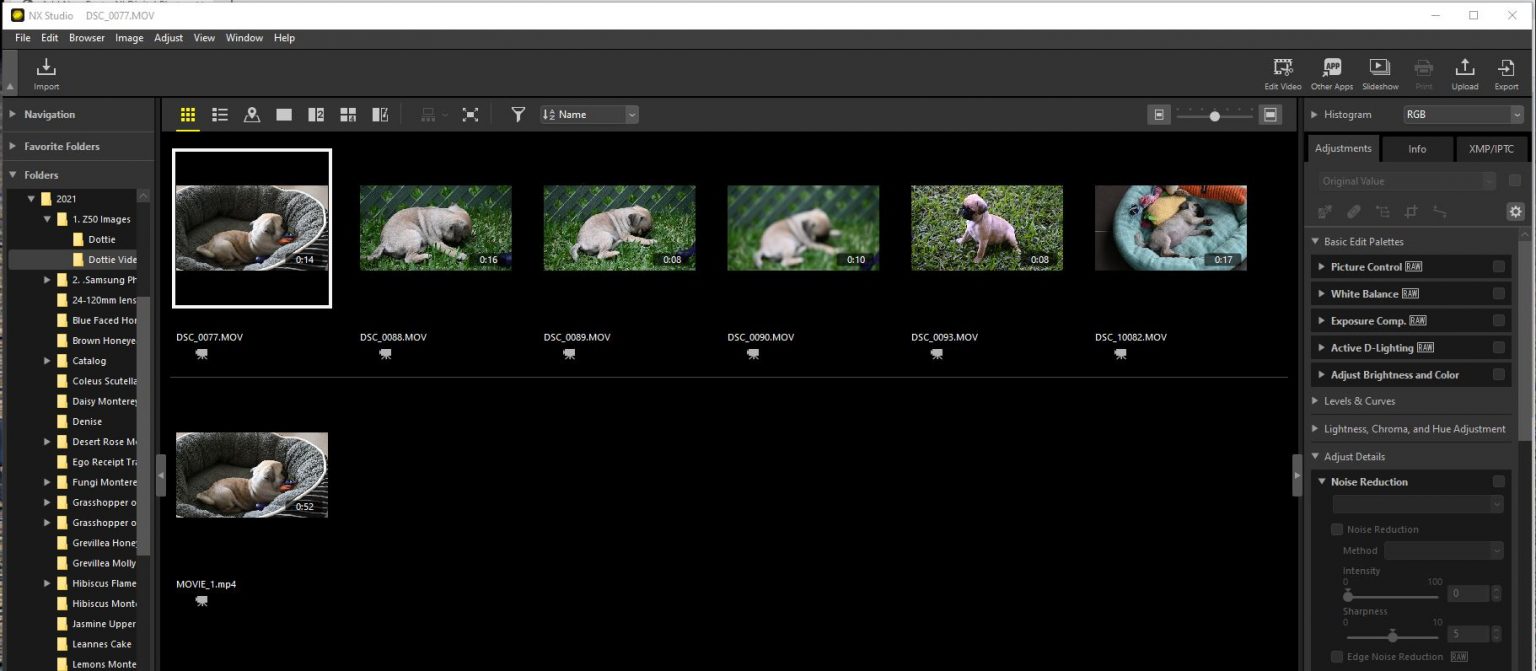 capture nx d vs nx studio capture nx d vs nx studio